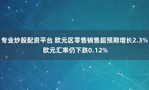 专业炒股配资平台 欧元区零售销售超预期增长2.3% 欧元汇率仍下跌0.12%