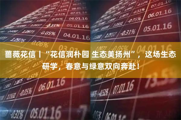 蔷薇花信丨“花信润朴园 生态美扬州”，这场生态研学，春意与绿意双向奔赴！