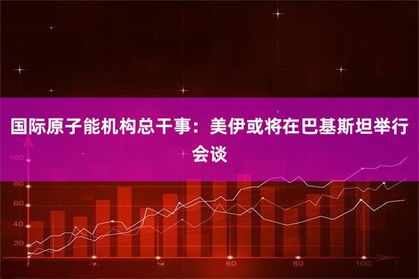 国际原子能机构总干事：美伊或将在巴基斯坦举行会谈